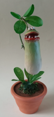 Carnivorous Nepy