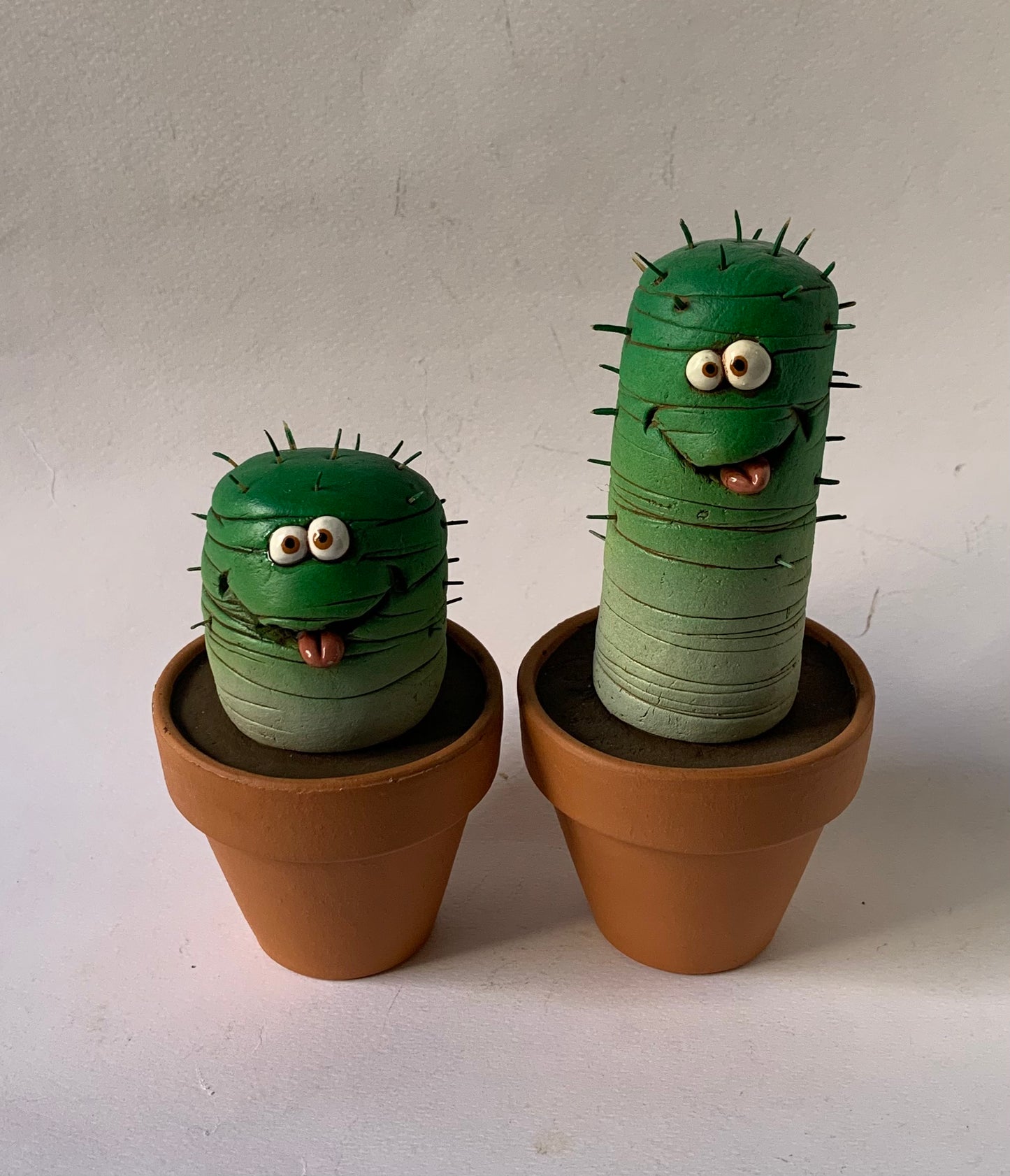 Pianta grassa piccola