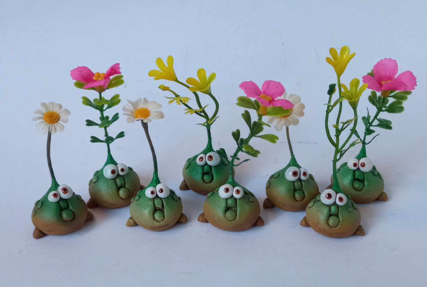 Mandragola bulbo