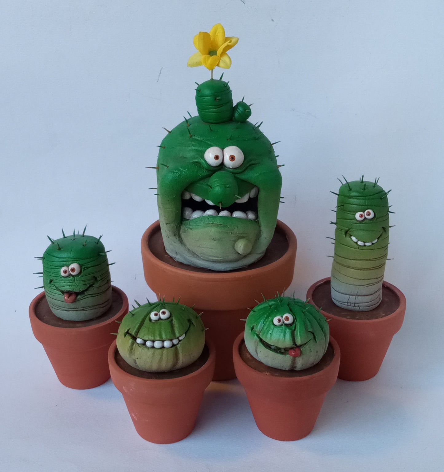Succulent plant