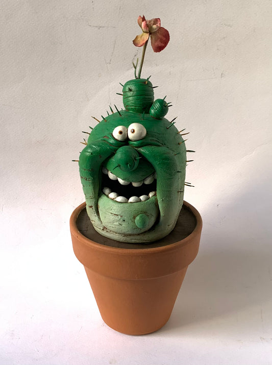 Pianta grassa grande