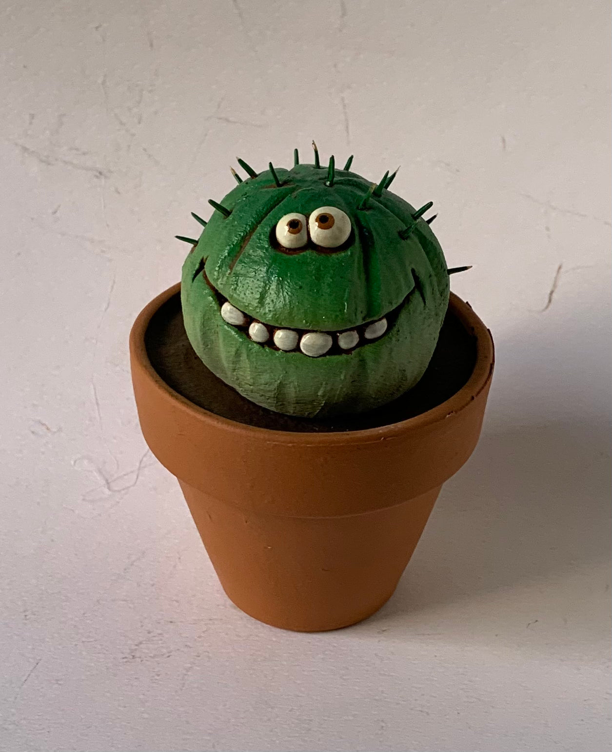 Pianta grassa piccola