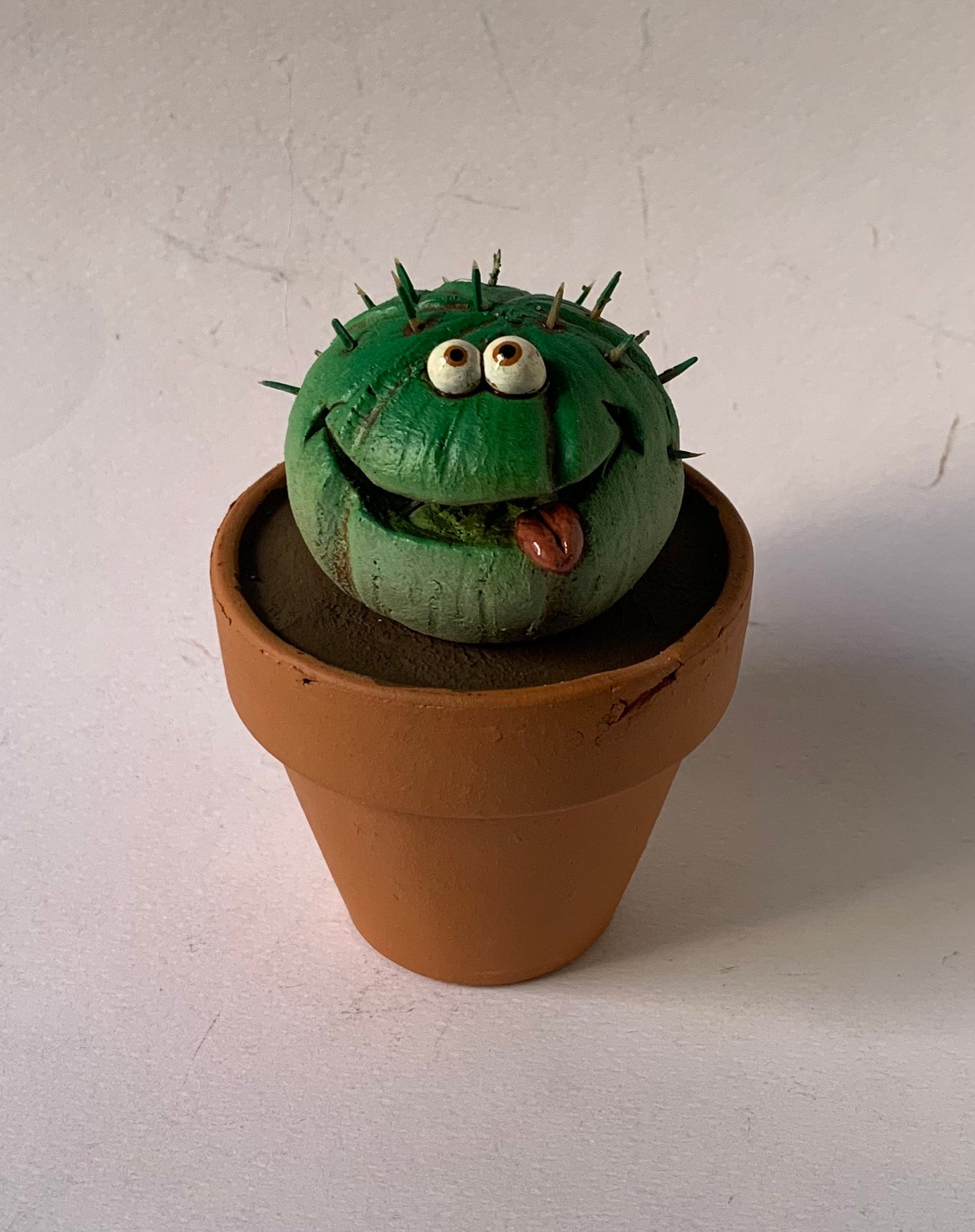 Pianta grassa piccola