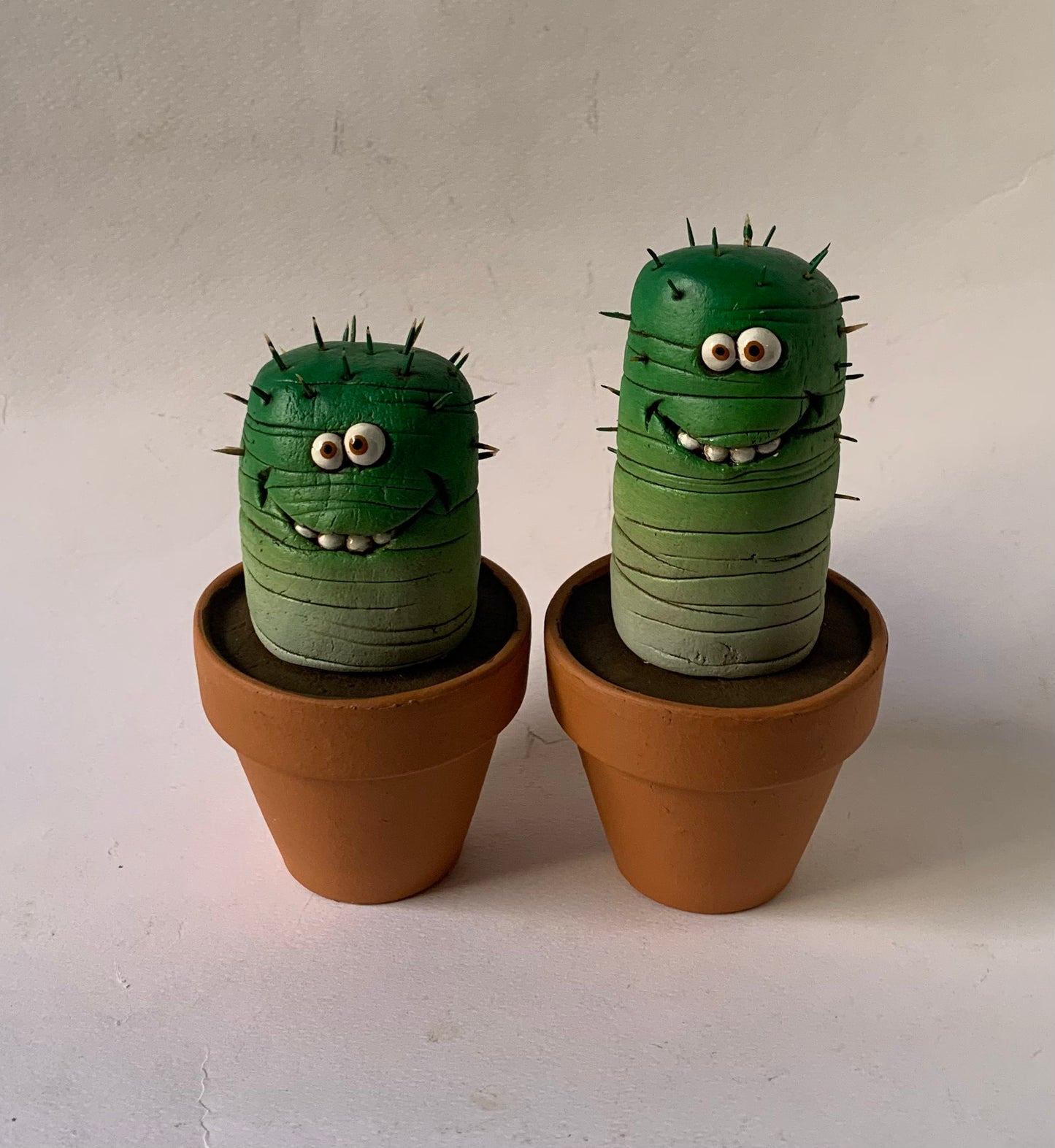 Pianta grassa piccola