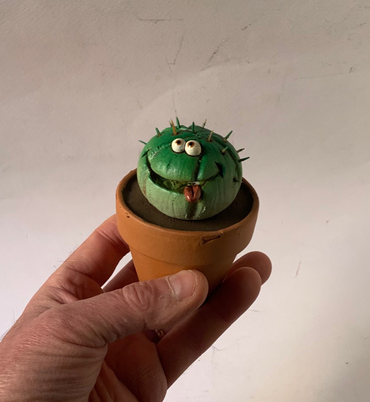 Pianta grassa piccola