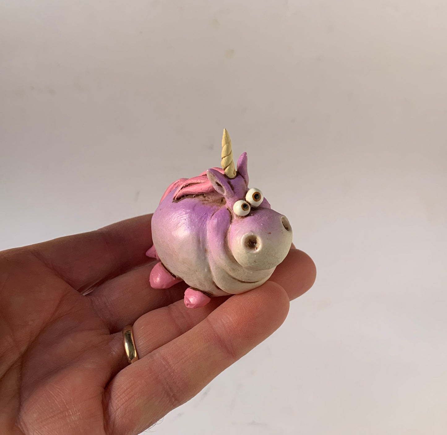 Unicorno Ciccio